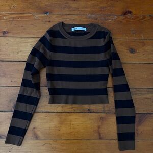 Zara Black and Brown Striped Cropped Long-Sleeve Top